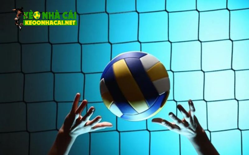 Bóng chuyền là gì?
