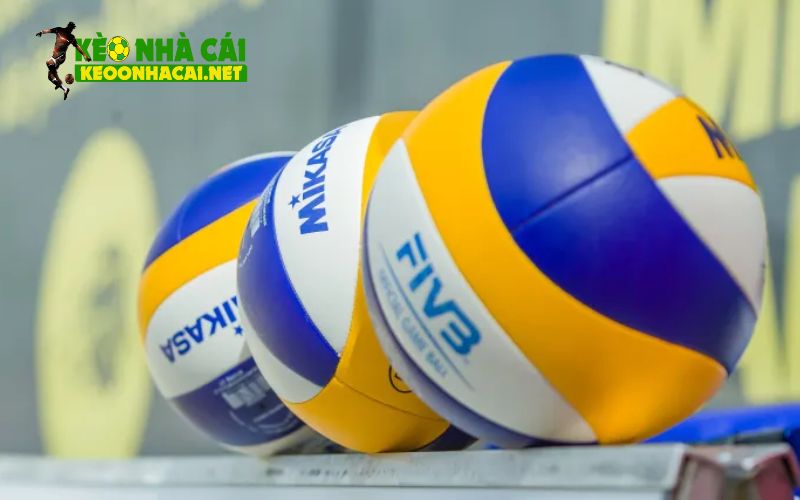 Học thành thạo cách bắt kèo bóng chuyền sẽ đem lại điều gì