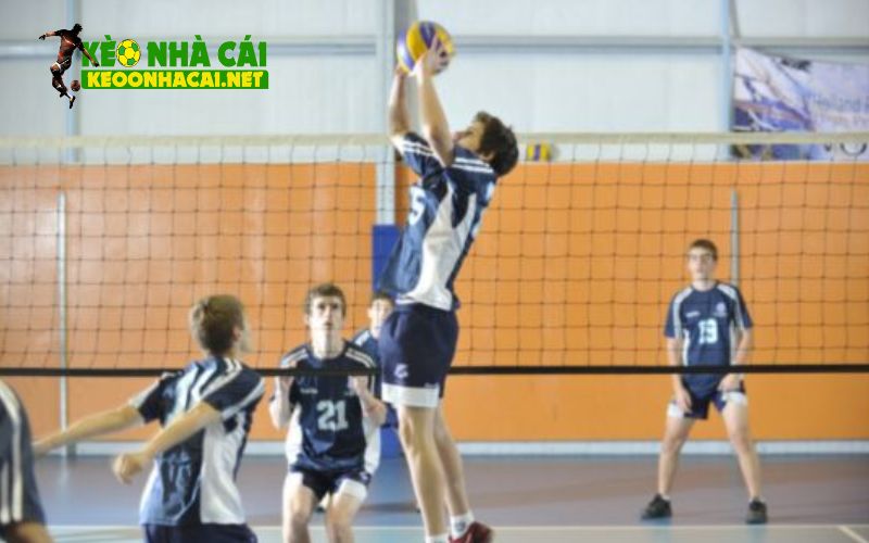 Hướng dẫn cách bắt kèo bóng chuyền chính xác nhất