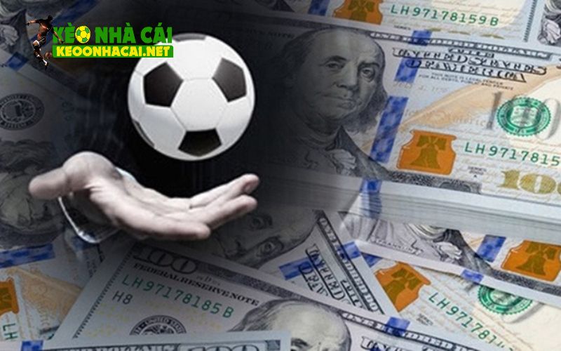 Hướng dẫn cách chơi cá cược bóng đá cực hiệu quả