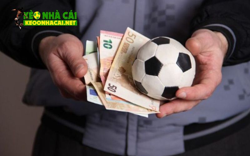 Giới thiệu tổng quan về cách chơi cá cược bóng đá