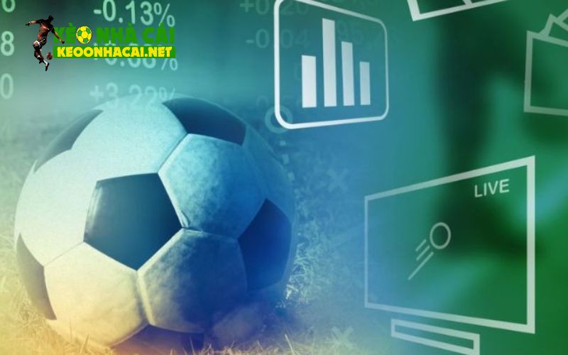 Tầm quan trọng của cách đọc kèo bóng đá cho người mới