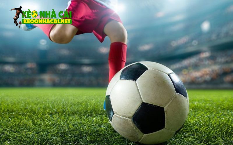 Nhận diện kèo bất thường và cách xử lý cho người mới
