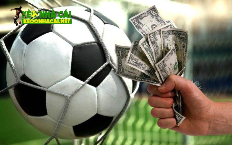 Cách đọc kèo Malaysia chi tiết theo từng dạng cụ thể