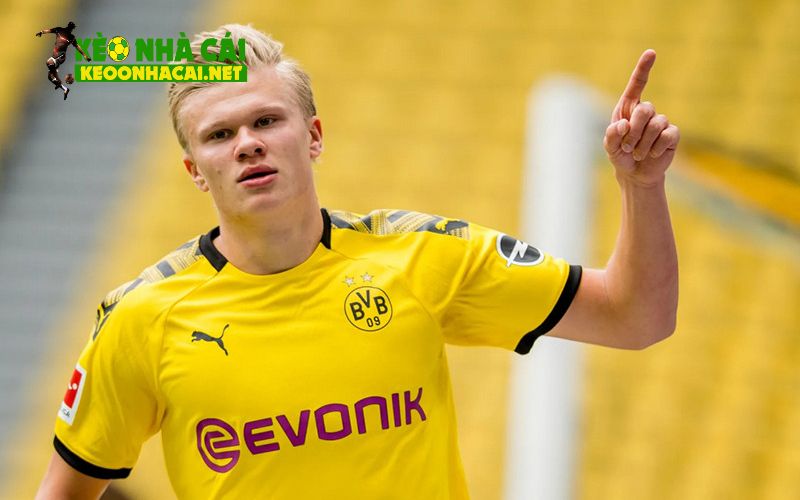 Thành công của cầu thủ Erling Haaland tại Manchester City