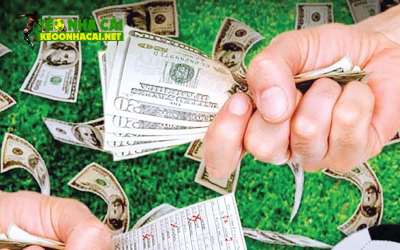 Lưu ý để vận dụng chiến thuật cá cược bóng đá thành công