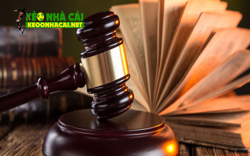Các nhóm chính sách chính đang áp dụng tại keonhacai
