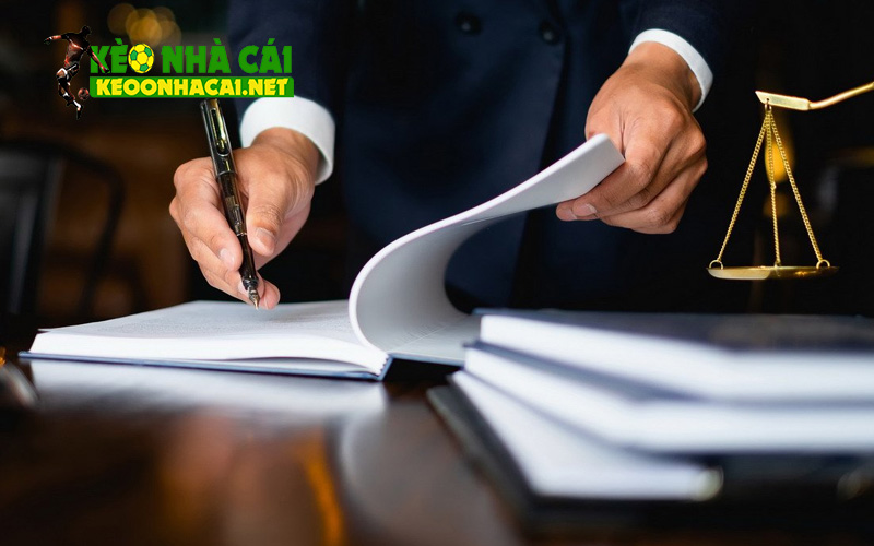 Vai trò của chính sách trong vận hành hệ thống keonhacai