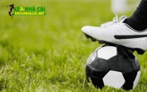 Khám phá các loại kèo châu Á là gì?