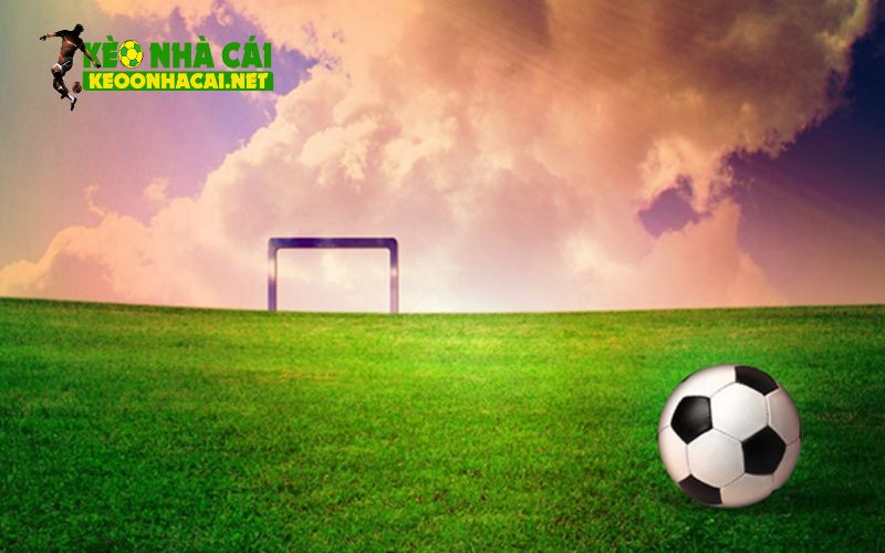 Kinh nghiệm đặt kèo rung chắc thắng từ cao thủ