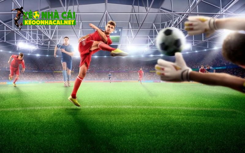 Cách tính nhịp của kèo rung là gì?