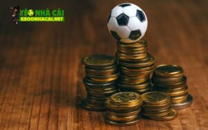 Kinh nghiệm cá cược kèo Châu Á từ các điều cơ bản