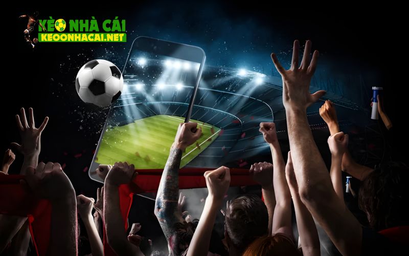 Kinh nghiệm soi kèo bóng đá hôm nay cho người mới