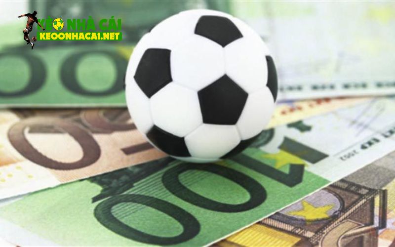 Tips bóng đá là gì?