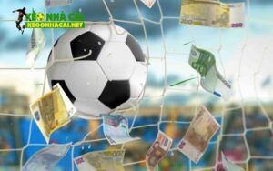 Tổng hợp các loại tips bóng đá hiệu quả nhất