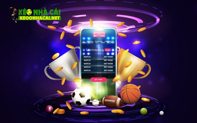 Tiêu chí đánh giá top nhà cái cá cược trực tuyến tốt nhất